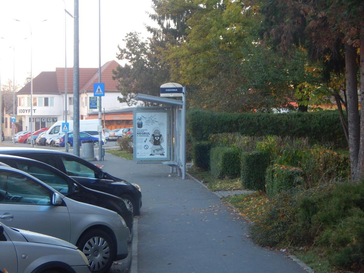 Sibiu Home 1 Eksteriør bilde